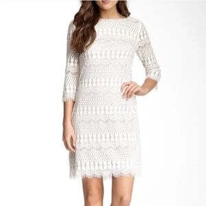 Beautiful Eliza J Lace Cream/White Mini Dress - Size 4